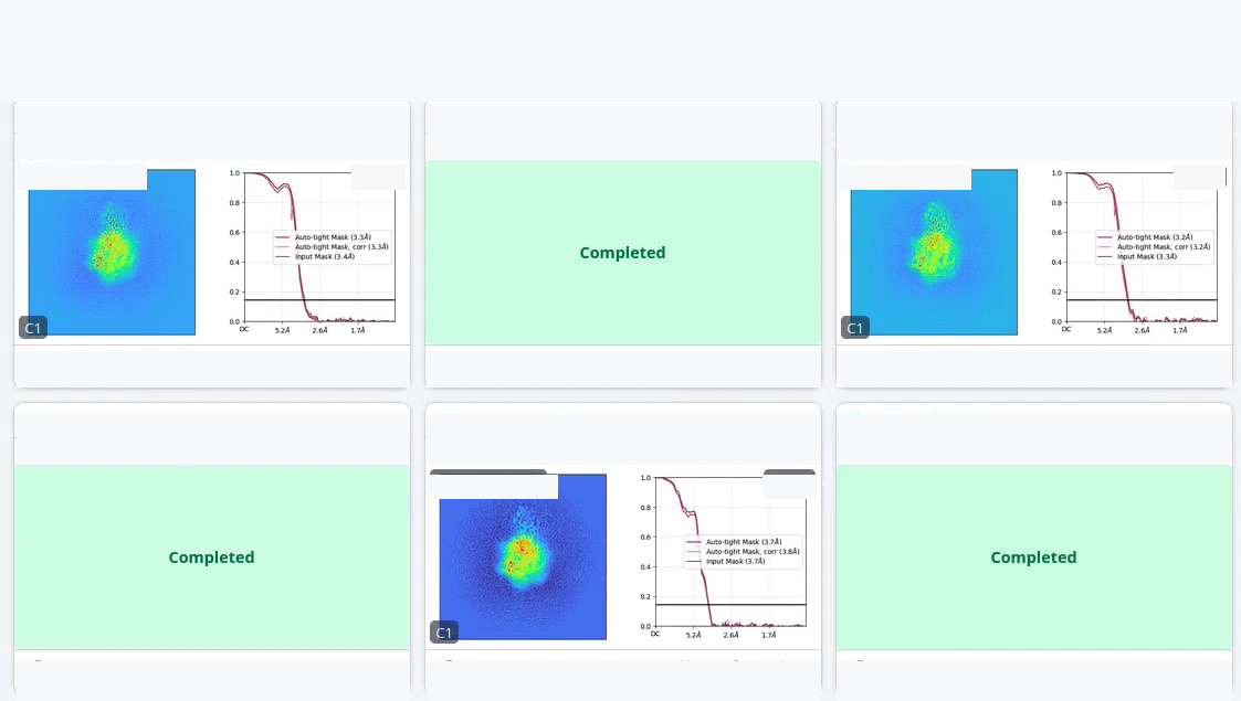 Sanitized cryoSPARC project view showing completed External and Local Refine jobs for RELION class particle subsets, with density thumbnails, FSC plots, and completed-state cards.